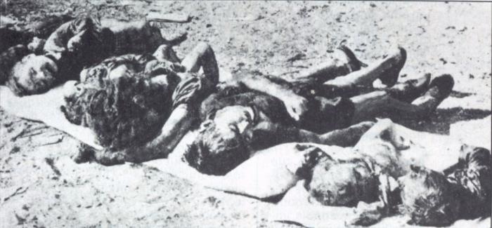 massacre El-Halia